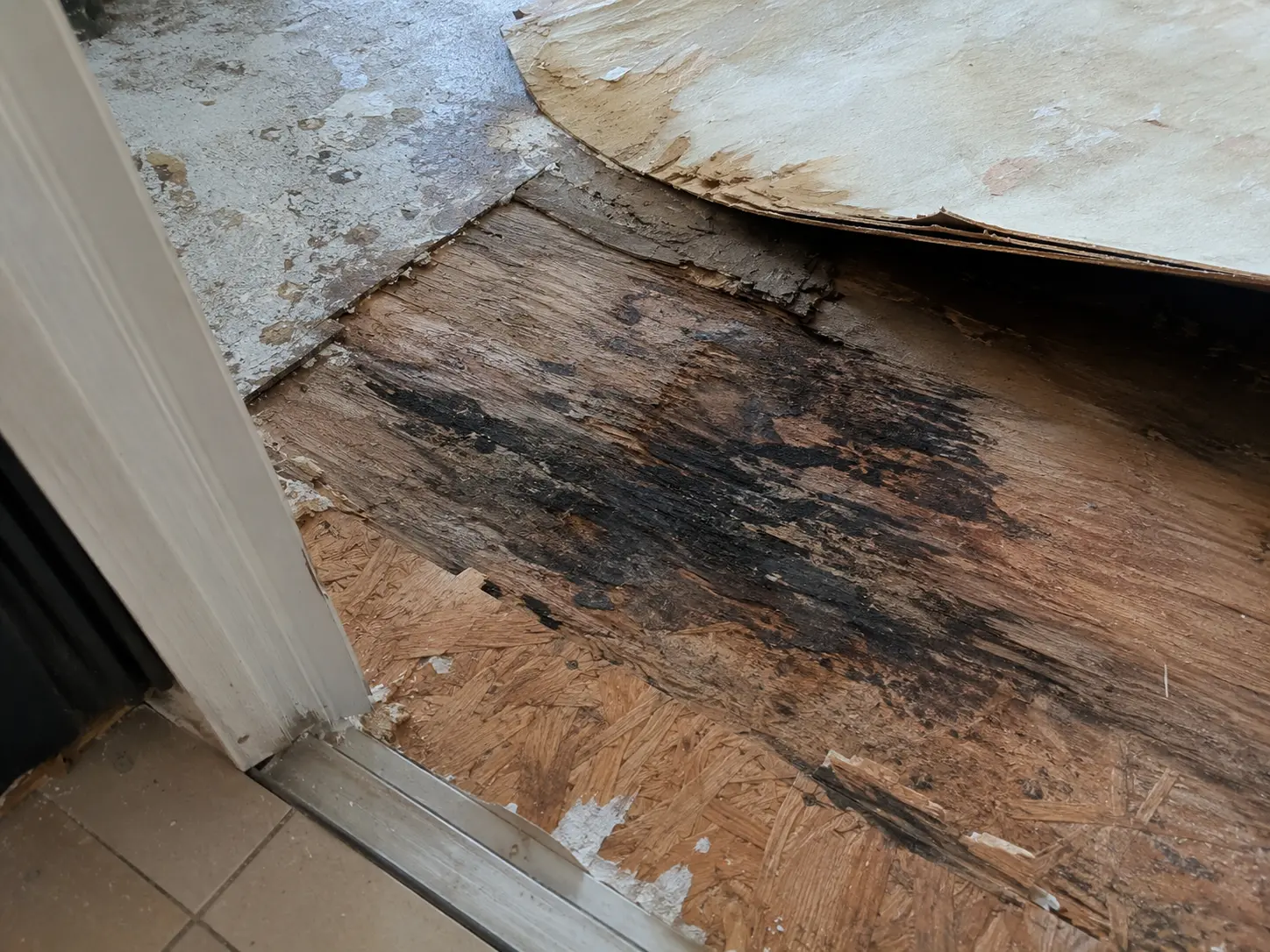 Subfloor moisture damage